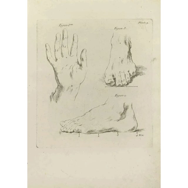 Hands and Feet is an etching realized by Jean Francois Poletnich in 1755. Good conditions with foxing and folding. The...