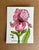 Shabby Chic Giclee Print of Watercolor Ink and Wash Small Painting “Pink Iris” For Sale - Image 3 of 10