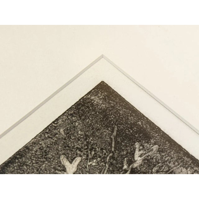 Danièle Fuchs, Neige, Black and White Etching on Paper, Framed For Sale - Image 6 of 8