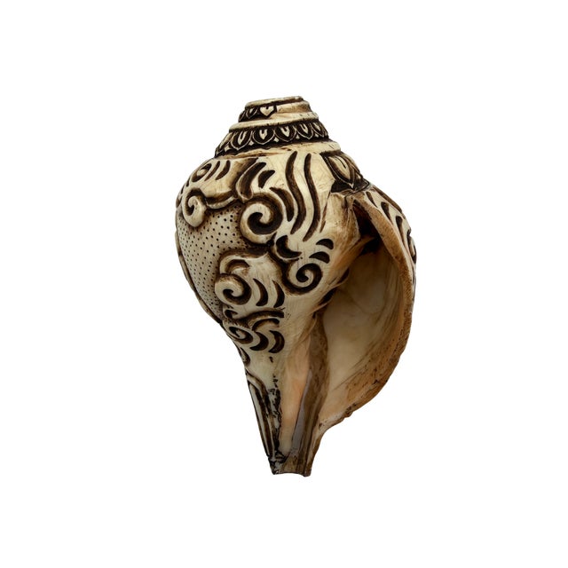 Hand-Carved Shakyamuni Buddha Conch Shell For Sale - Image 4 of 6