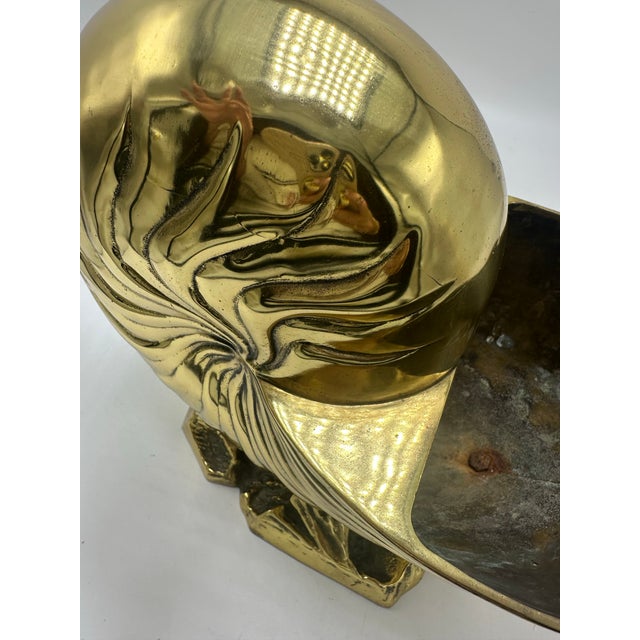 Large Brass Nautilus Shell For Sale - Image 4 of 8