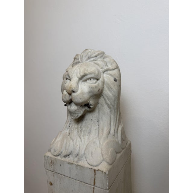 Florentine Lions in White Carrara Marble, Late 19th Century, Set of 2 For Sale - Image 9 of 13