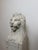 Florentine Lions in White Carrara Marble, Late 19th Century, Set of 2 For Sale - Image 9 of 13
