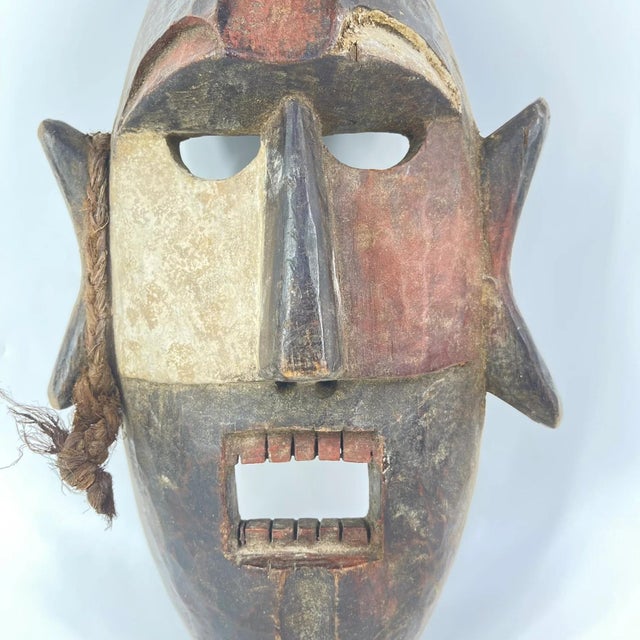 Early 20th Century Early 20th Century Boa Mask For Sale - Image 5 of 6