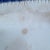 Antique Pearlware Blue Feather Edge Platter, Impressed Eagle Mark, English For Sale - Image 10 of 16