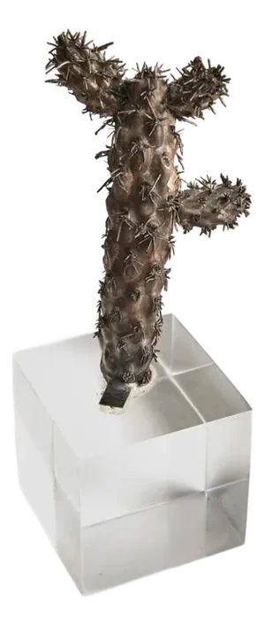 Mario Buccellati, Cactus, 1970s, Silver & Acrylic Glass