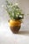 Antique French Ochre-Glazed Earthenware Confit Jar - Small For Sale - Image 4 of 4