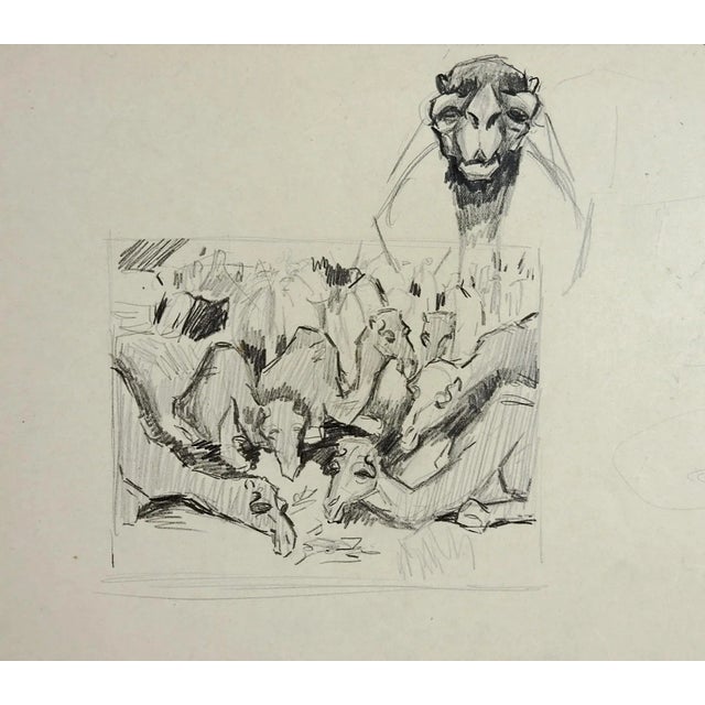Camel Pencil Study by George Baer For Sale