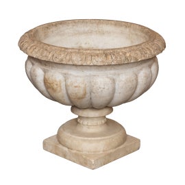 Example of Wine Coolers