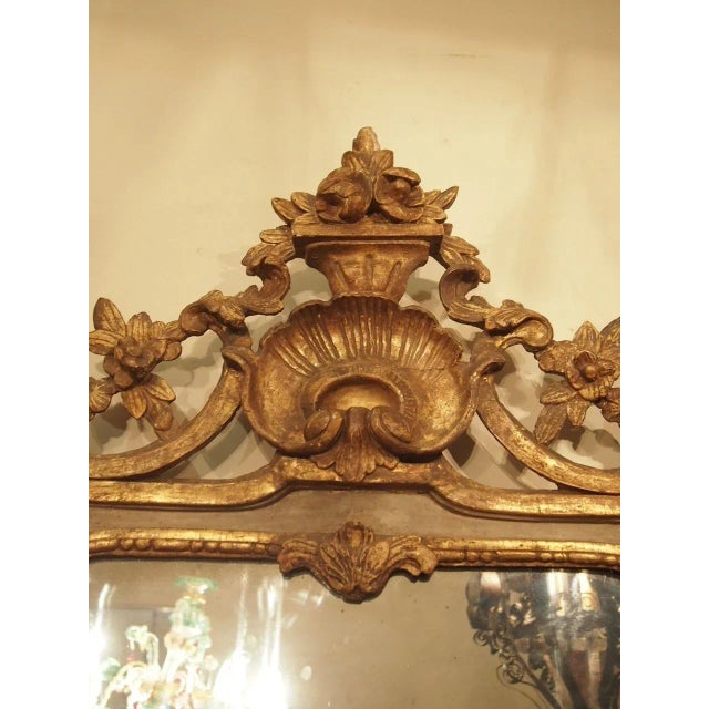 French Period Louis XVI Mirror With a Shell Cartouche For Sale - Image 3 of 10