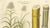 Saccharum Officinarum, 1800s, Paper For Sale - Image 4 of 10