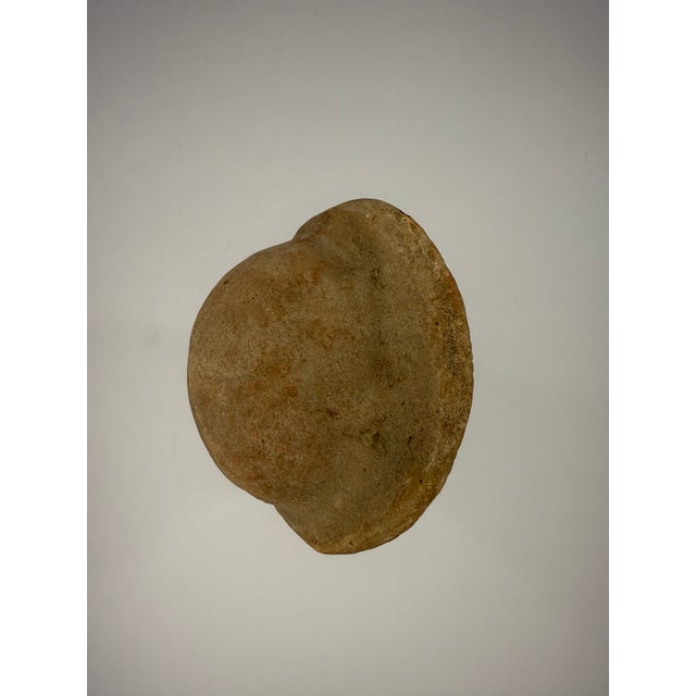 15th Century & Earlier Bust of a Greek Goddess For Sale - Image 5 of 6