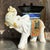 Boho Chic Vintage Boho Glazed Ceramic Elephant Low Stool For Sale - Image 3 of 9