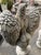 Large Classical Cast Stone Garden Statues, Set of 2 For Sale - Image 3 of 10