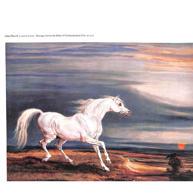 "Sport and the Horse" Book 1960 For Sale - Image 9 of 10