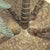Vintage Tyndale for Frederick Cooper Cast Iron 2-Light Palm Tree Table Lamp With Original Shade For Sale - Image 10 of 12