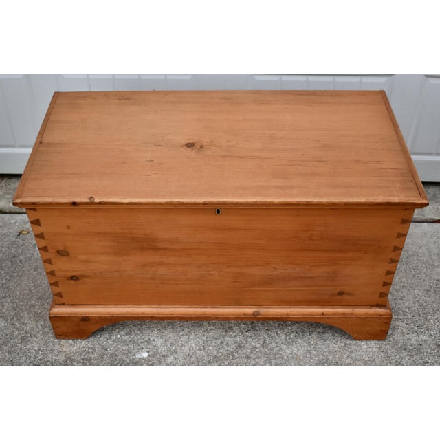 Wood Vintage Doveatiled Pine Trunk Farmhouse Stye Blanket Chest Storage For Sale - Image 7 of 15