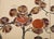 Japanese Showa Four Panel Screen Fruiting Pomegranate Tree For Sale In Sacramento - Image 6 of 12