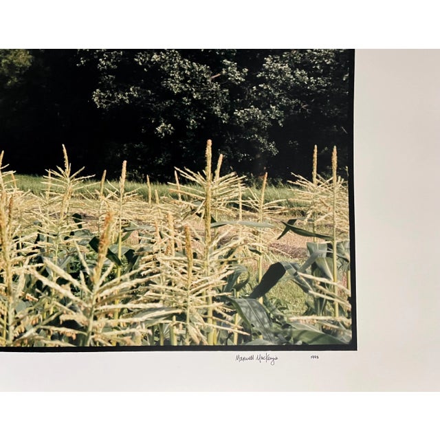 1990s Maxwell Mackenzie, Farm, Summer Landscape, Large Panoramic Vintage Color Photograph Signed Photo, 1993 For Sale - Image 5 of 10