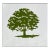 Rick Holt Oak Tree Green Serigraph For Sale