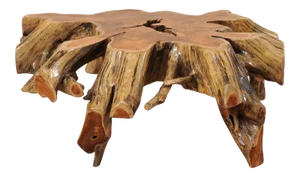 Mid 19th Century Organic Modern Tree Root Coffee Table
