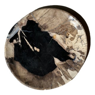 Large Vide-Poche or Dish in Petrified Wood For Sale