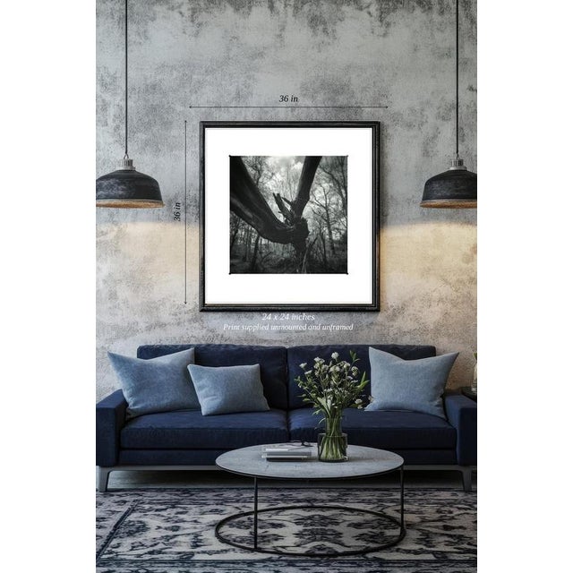 Fine art Giclee prints on Hahnemuhle Photo Rag 308gsm - a 100% cotton, acid-free, mould-made paper. Printed to Fine Art...