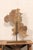 Brass Italian 18th C. Scrolled Fragment on Stand For Sale - Image 8 of 10