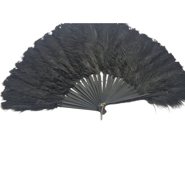 Art Deco Polish Autriche Feather Fan, 1920s For Sale - Image 13 of 16