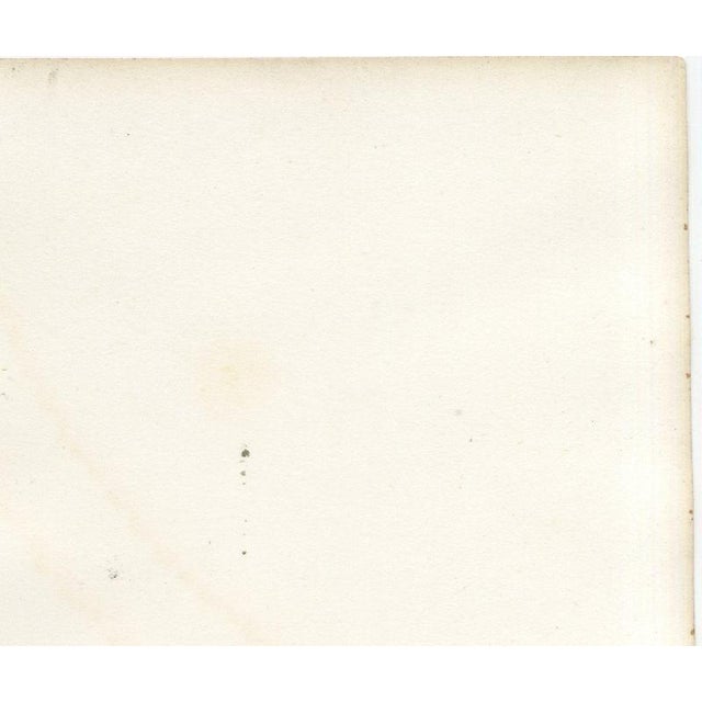 Gold Deroy, Toulouse Veterinary School, Three Views, 1873, Paper For Sale - Image 8 of 12
