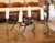 Traditional Pair of Mid-Century Cast Iron Bird Branch Two-Light Candelabras For Sale - Image 3 of 10