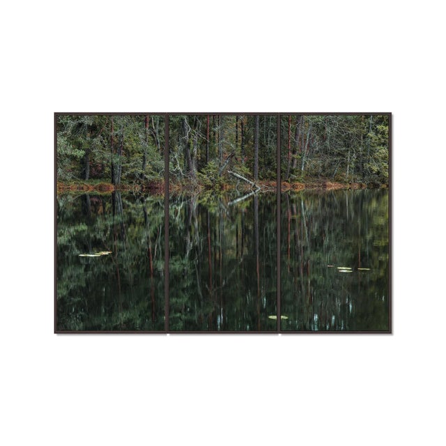 "Deep_Mirroring_Forest_006" Triptych, Limited Edition Fine Art Photograph by Bernhard Lang, Set of 3 For Sale - Image 4 of 7
