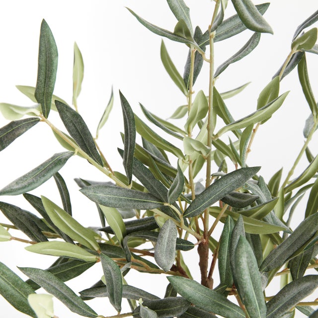 Realism Olive Tree Drop-In 17.5" For Sale - Image 3 of 4