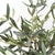 Realism Olive Tree Drop-In 17.5" For Sale - Image 3 of 4