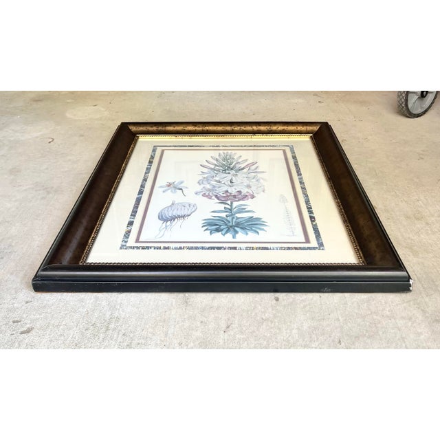 1980s Walter Hood Fitch Lilium Washingtonianum, Washington Lily Large Framed Print For Sale In Dallas - Image 6 of 8