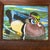 1970’s original colorful wood duck serigraph print. Measures 9x7 or 12.75x10.75 framed. Check out my shop Robins Egg...