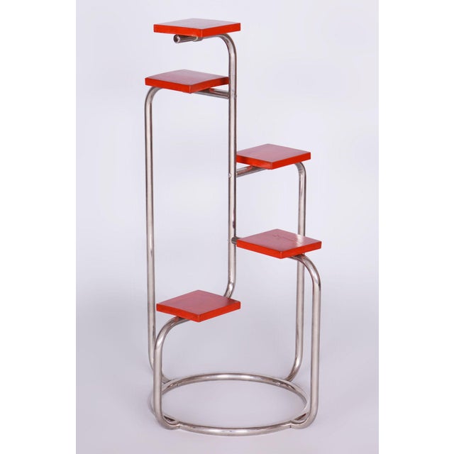 Wood Bauhaus Chrome Flower Stand in Lacquered Wood, 1930s For Sale - Image 7 of 7