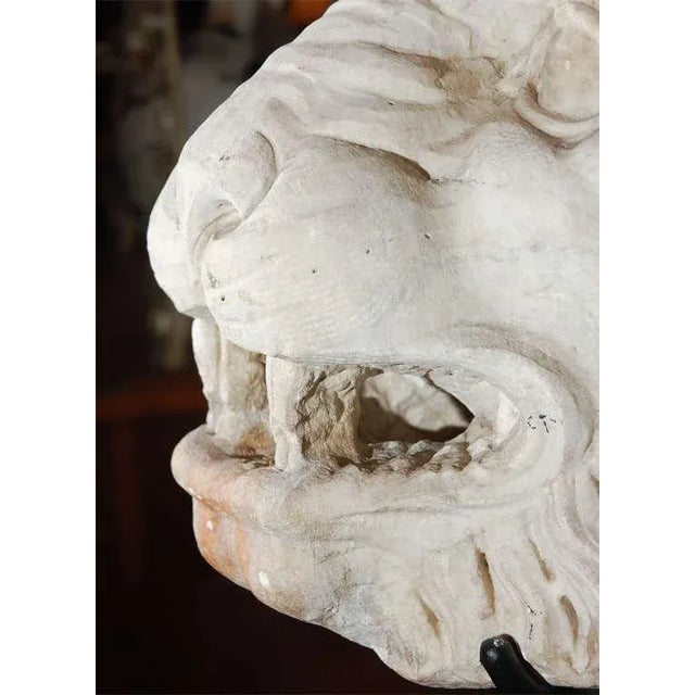 17th Century 17th Century, Carrera Marble Lion Fountain Head For Sale - Image 5 of 8