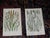 Realism Antique 19th Century Botanical Lithographs - Set of 12 For Sale - Image 3 of 9
