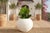 This striking planter is a modern nod to classical Greek forms, updated with a clean, contemporary texture. Shaped like a...