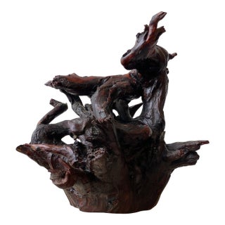 Vintage Naturally Formed Root Sculpture, Circa 1960s For Sale