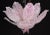 1970s Ballarò Italian Pink Murano Glass Leaves Ceiling Light or Flush Mount, 1970s For Sale - Image 5 of 12