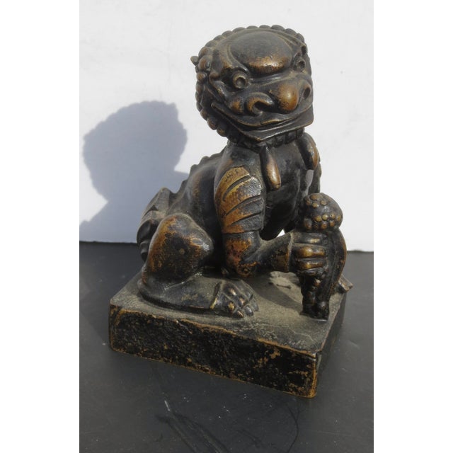 Early 20th Century European Bronze Fantastic Guard Dog For Sale In New York - Image 6 of 6