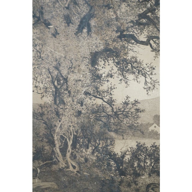 Antique Ernest C Rost Budds Lake New Jersey Eagles Cove Etching 28" For Sale - Image 12 of 13