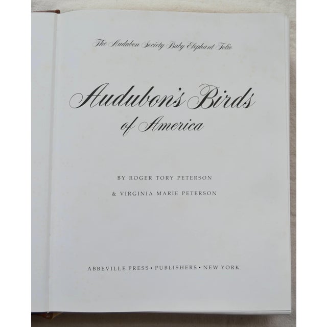 1980s 1981 Signed Audubon's Birds of America: The Audubon Society Baby Elephant For Sale - Image 5 of 18