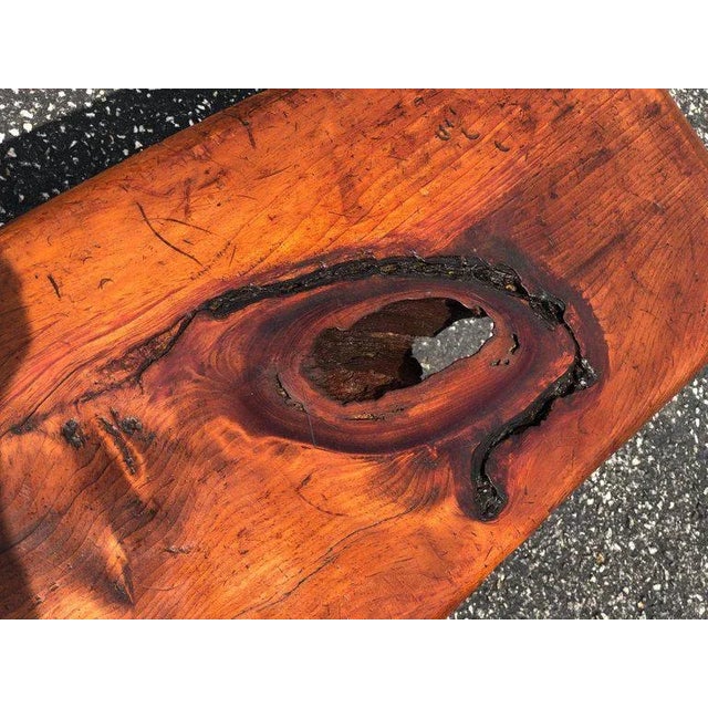 Mid-Century Modern Live Edge Bench or Table For Sale In New York - Image 6 of 12