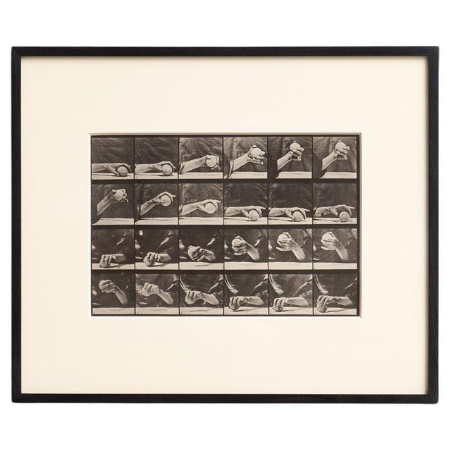 Eadweard Muybridge, Black and White Hand with Ball Movement, 1982, Photograph, Framed For Sale - Image 14 of 14