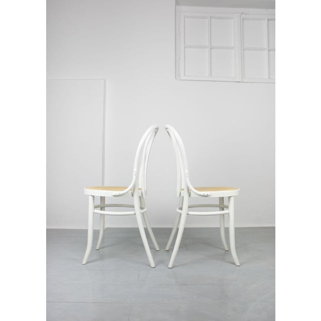 1960s No. 18 White Chairs attributed to Michael Thonet, Set of 4 For Sale - Image 5 of 18