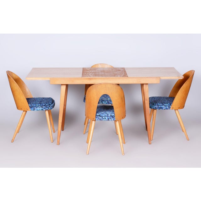 Mid-Century Czech Extendable Table in Beech and Ash attributed to Tatra Pravenec, 1950s For Sale - Image 15 of 17