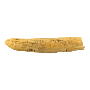 Late 20th Century Anna Lowther Signed Scrimshaw Carved Driftwood Coastal Scenery